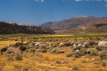 Sierra Nevada mountains in summer. California, USA