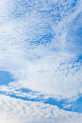 秋の空の白い雲	