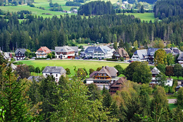 Schwarzwald Blick auf Dorf Hinterzarten