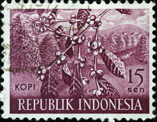 Coffee cultivation on indonesian postage stamp