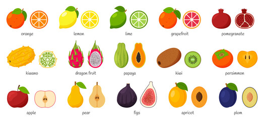 Large collection of tropical, exotic, citrus fruits with names. Set of cutaway fruits. Pairs of fruit, whole and cut in half. Flat vector illustration. Design elements isolated on a white background