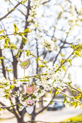 Easter decoration on blurred cherry tree background with spring flowers in sunny day. Spring background art with white blossom, shallow depths of the field