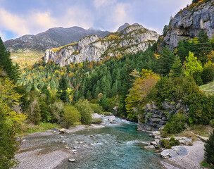 river in a forest at the foot of the mountain on a cloudy day