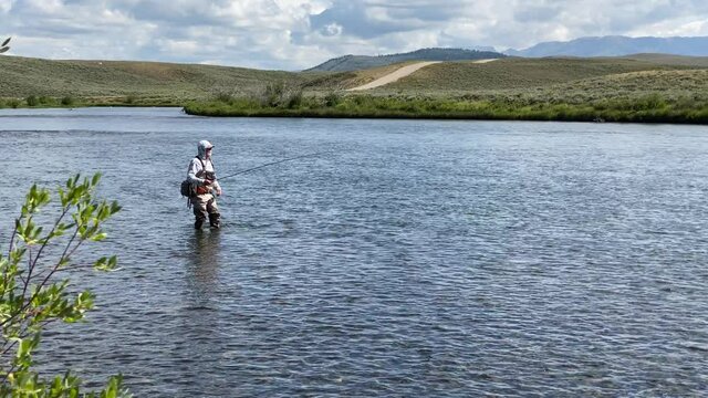 Man fly fishing on the Green River in Wyoming near Pinedale. Casting flies, wading in the river on a summer day.