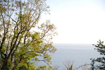 the sea in the morning