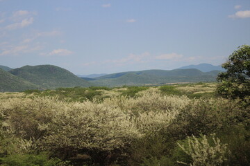 Obraz premium Campo y montañas 