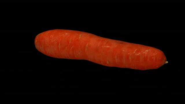 Realistic render of a rotating carrot on transparent background (with alpha channel). The video is seamlessly looping, and the object is 3D scanned from a real carrot.
