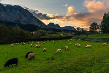 Obraz premium scene of a sunset in the valley of Axpe, Basque Country