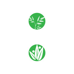 Leaf Logo Template vector symbol nature