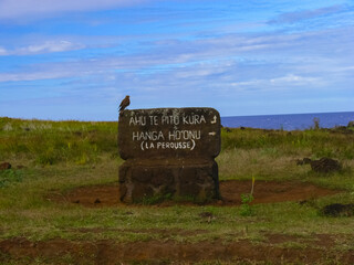 Orongo, the relevance of Easter Island.