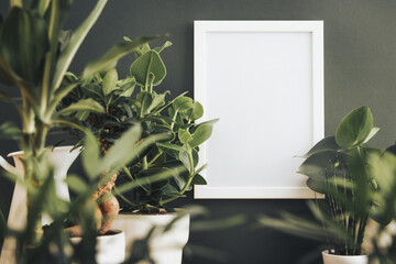Houseplants in white pots and photo frame on green wall.
