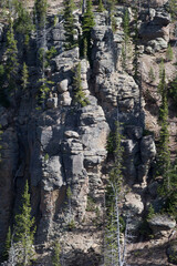 Abstraction from a rock wall