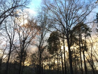 Crisp walk on a city greenway watching an early springtime sunset.