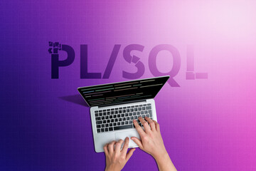 Concept of the popular PL SQL programming language