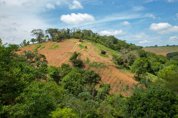 Detail of Atlantic Forest area cleared for agricultural planting in Guarani, Minas Gerais state,...