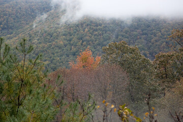 Mountain with a low cloud in the morning