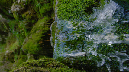 VERTICAL, DOF: Shimmering crystal clear river water flows over the mossy rocks.