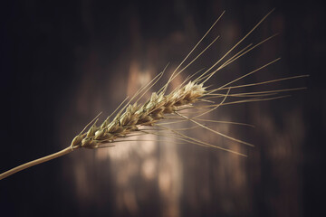 wheat spike on wooden background