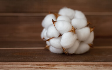 Fototapeta na wymiar bouquet of cotton bolls on brown wooden background