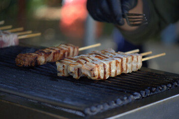 shish kebab on the grill