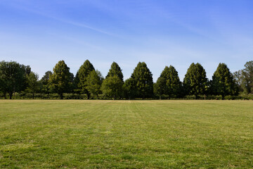 A wide angle view of a grass field with trees and shrubs in background under a blue sky