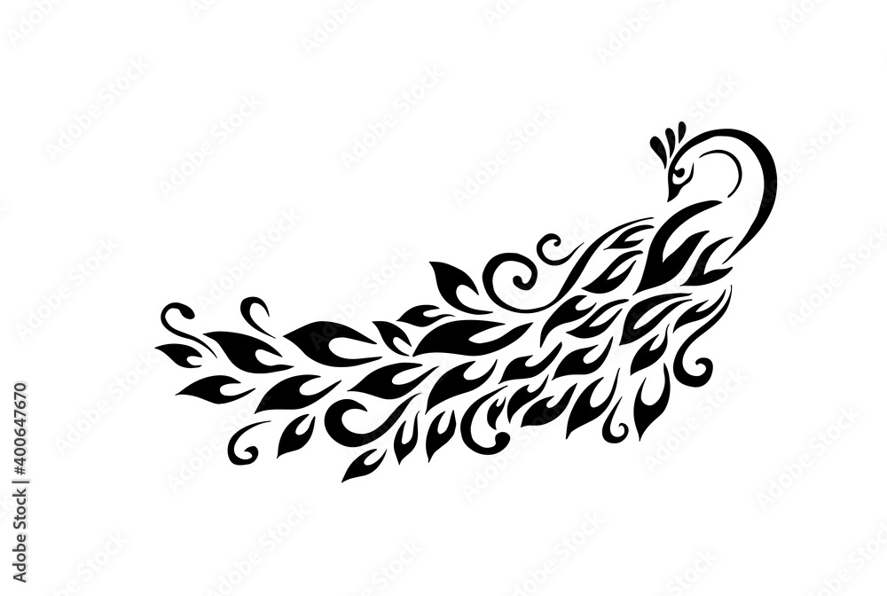 Wall mural Graphic monochrome peacock. Vector illustration