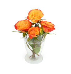 Bunch of rosy roses isolated on white 