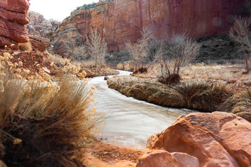 A River thru the Rocks