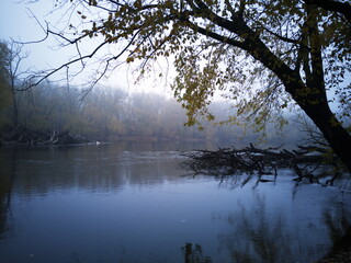 River in the woods with trees in Autumn