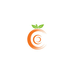 Orange logo design Vector icon illustration design