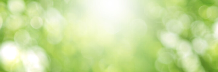 Green light leaves blurred and blur natural abstract. Effect sunlight  soft bright shiny style  bokeh circle yellow and orange blurry morning . For wallpaper backdrop and background.
