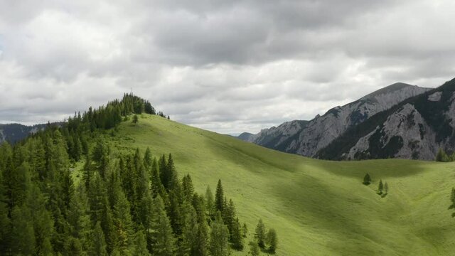 Aerial - Beautifull mountain full of gras and trees. This was taken on a hike in the Austrian alps