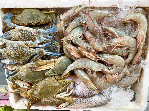 Fresh seafood placed in the basket such as fish, crab, shrimp..Food cart in Thailand