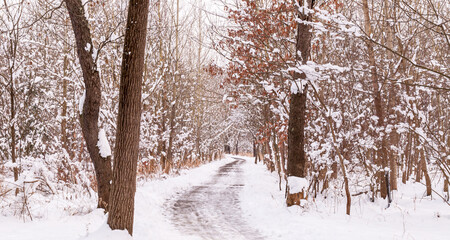 A hiking trail in snowy woods in winter time in Frick Park, Pittsburgh, Pennsylvania, USA