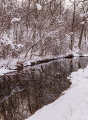 Bare winter trees reflecting off of Nine Mile Run creek on a snowy winter day in Frick Park located in Pittsburgh, Pennsylvania, USA