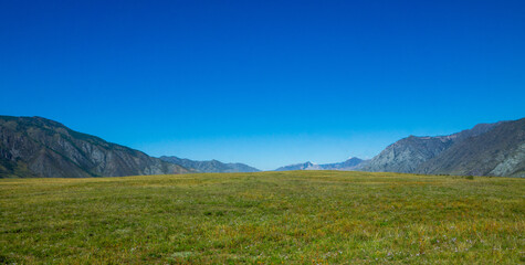Green valley landscape and small forests with mountains on background

