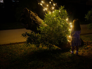 A girl staring at the illuminated tree