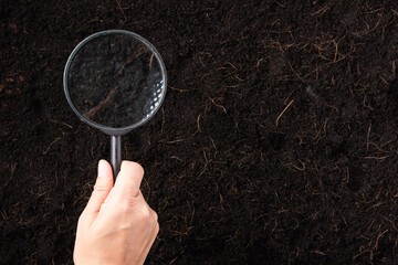 Top view the hand of researcher woman holding a magnifying glass on black soil at the garden to...