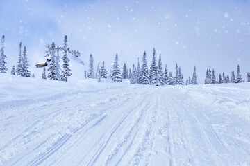 Ski slopes and snowfall, fir trees in fluffy snow, sky in clouds, winter landscape, cold weather. Nature View