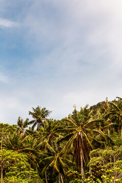 Thailand Siam Reise Urlaubsparadies S&uuml;dostasien