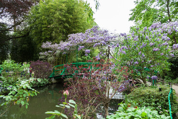 Giverny, France - May 9: Bridge with purple flowers in Claude Monet's house and gardens, a famous house of impressionist painter Claude Monet in Giverny located  80 km (50 mi) from Paris.  - obrazy, fototapety, plakaty