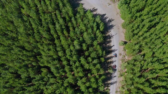 Aerial View Above Quad Bikes Driving On A Dirt, Forest Road, Sunny Day, In Australia - Top Down, Drone Shot