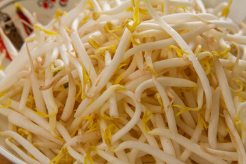 Green bean sprouts close up.