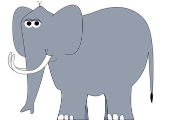 Elefant