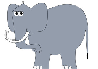 Elefant