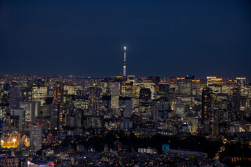 都会の夜景　：　東京スカイツリー方面