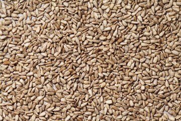 sunflower seeds on rustic background