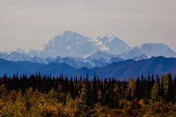 Foto auf Acrylglas Denali Fall foliage in Denali National Park with mountain in background, Alaska