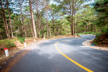 road to the top of langbiang mountain