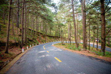 road to the top of langbiang mountain